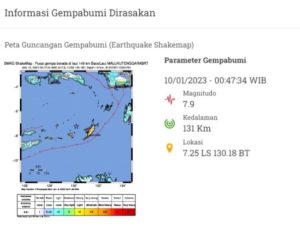 Peta Guncangan Gempa Bumi Magnitudo 7,9 Maluku (Foto: Tangkapan layar BMKG)