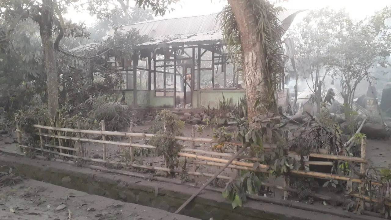 Bangunan rumah di Flores Timur NTT roboh imbas dari letusan Gunung Lewotobobi Laki-Laki.