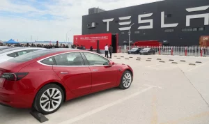 Foto yang diabadikan pada 26 Oktober 2020 ini menunjukkan kendaraan Tesla Model 3 yang diproduksi di China (made in China) di gigafactory Tesla yang terletak di Shanghai, China timur.