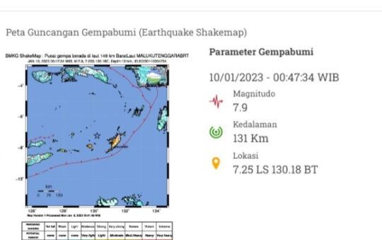 Peta Guncangan Gempa Bumi Magnitudo 7,9 Maluku (Foto: Tangkapan layar BMKG)