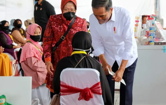 Jokowi dan Tri Rismaharini.